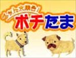 ペット大集合ポチたま