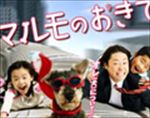 マルモのおきて 全６巻