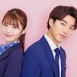 それでも結婚したいと、ヤツらが言った。全2巻