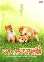 マリと子犬の物語