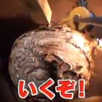 駆除の達人VII