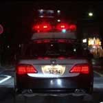 逮捕の瞬間！警察２４時 特別編
