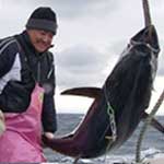 洋上の激闘！！巨大マグロ戦争２０１６②