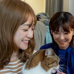 三日月とネコ 三日月とネコ